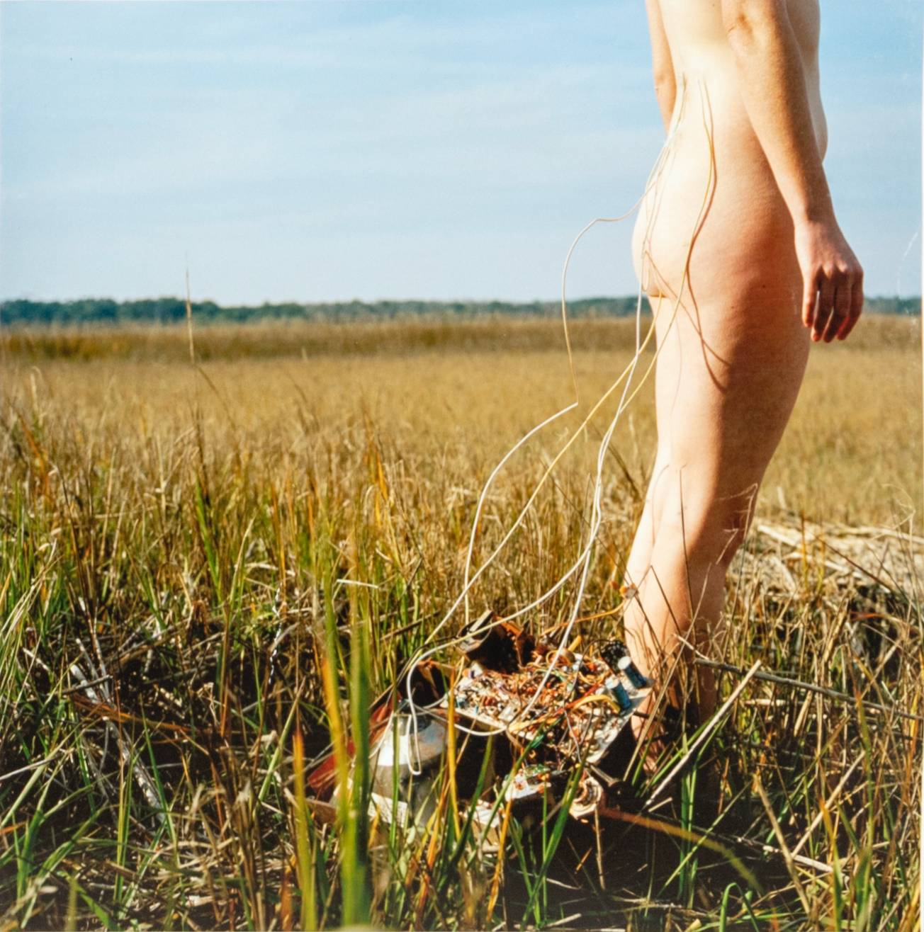 nude woman standing in field with wires attached to her back from the ground